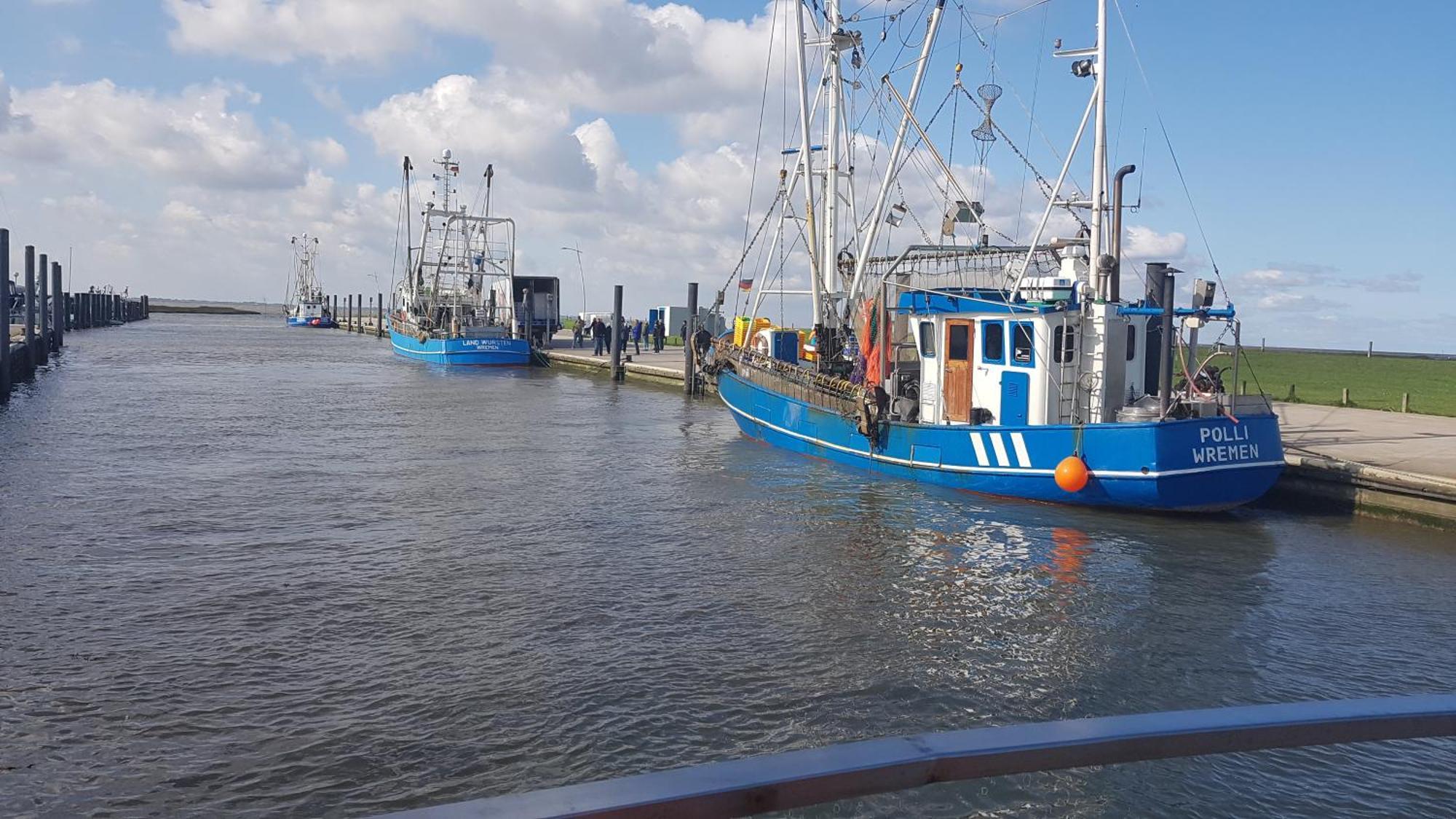 Ferienwohnung Alea, Zentrumsnah Bremerhaven Exterior foto